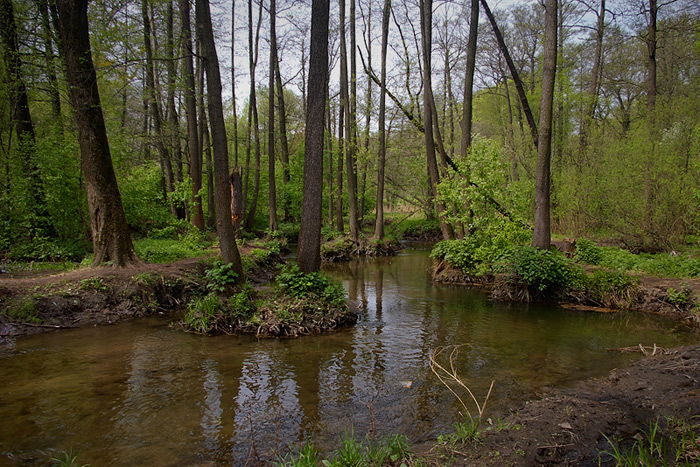 photo "***" tags: landscape, spring, water