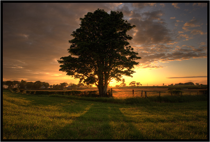 photo "When the sun say goodbye" tags: landscape, sunset