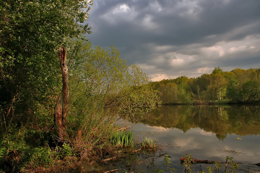 photo "May" tags: landscape, spring