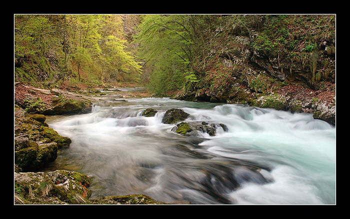 photo "Vintgar" tags: landscape, water