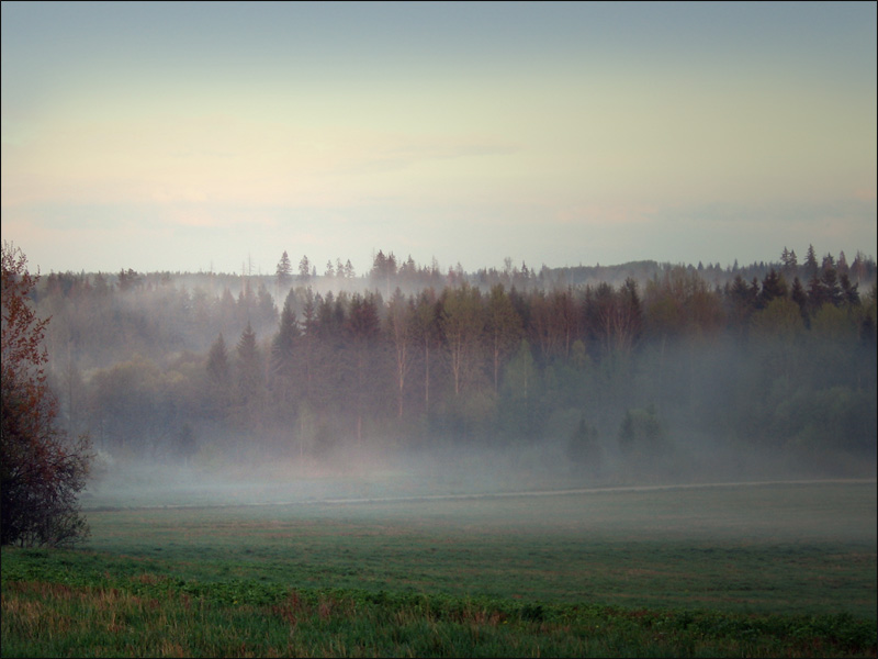 photo "***" tags: landscape, spring