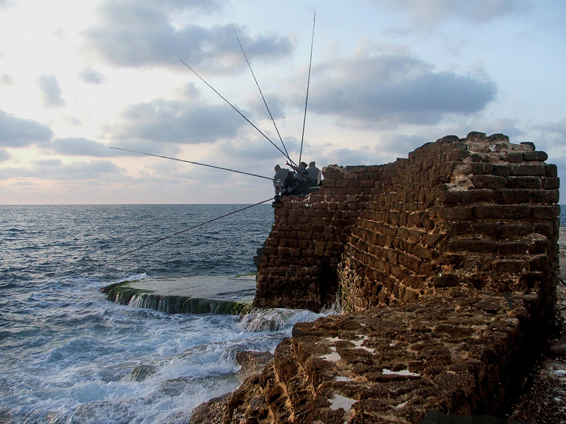 photo "Anatomy of fishing" tags: genre, 