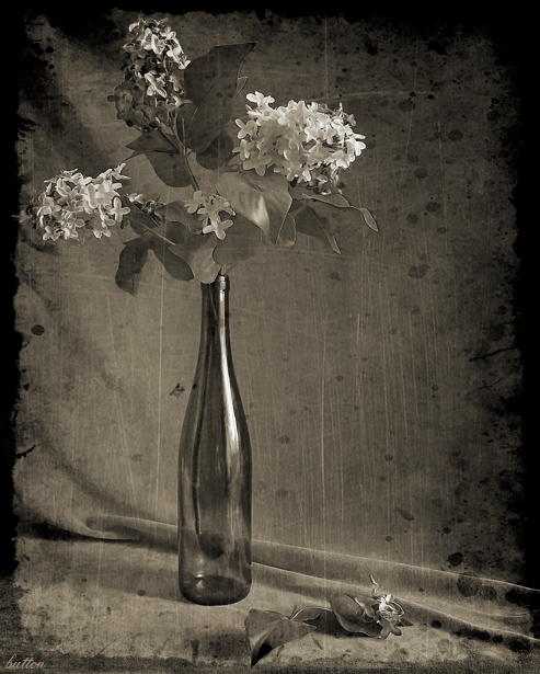 photo "Old card" tags: still life, 