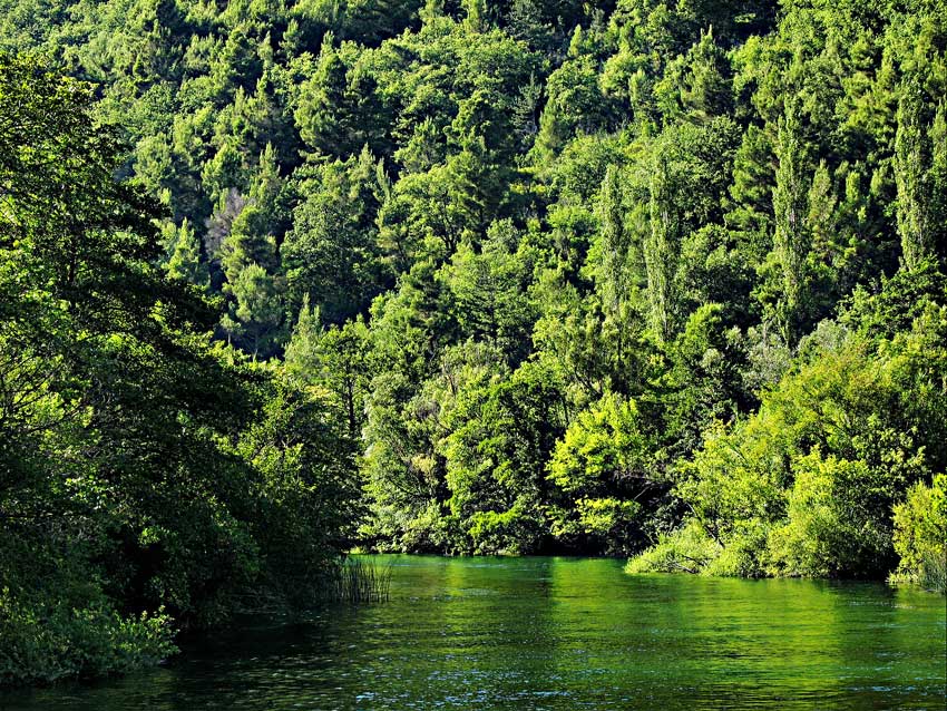 фото "Greens" метки: пейзаж, путешествия, Европа, лето