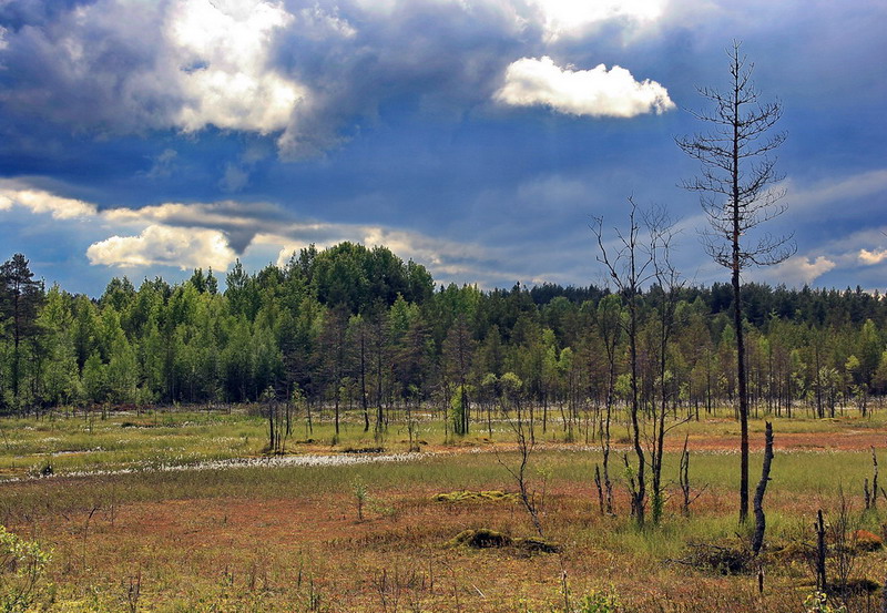 photo "***" tags: landscape, spring