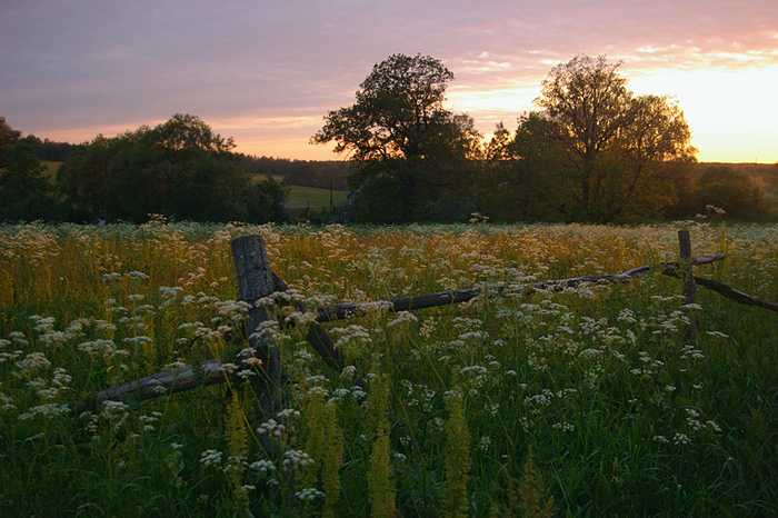 photo "***" tags: landscape, summer, sunset