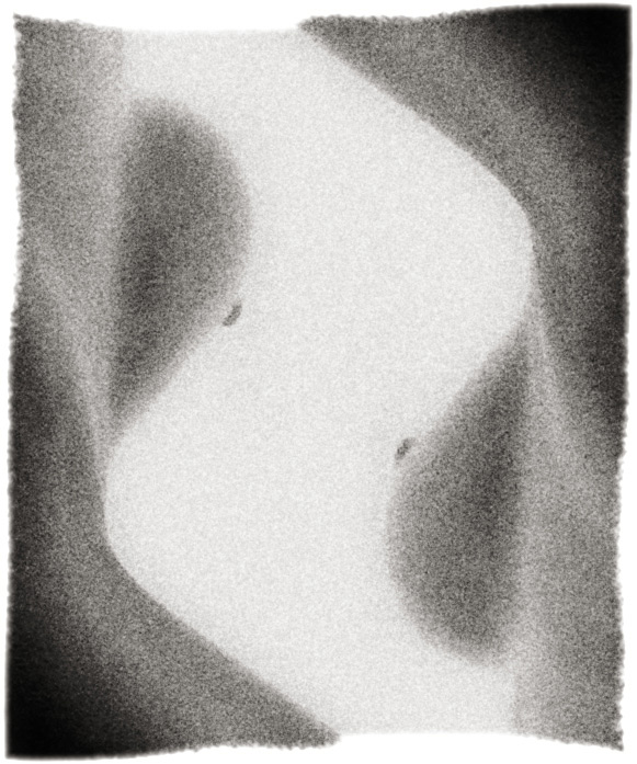photo "Lines(Nonsense)" tags: nude, 