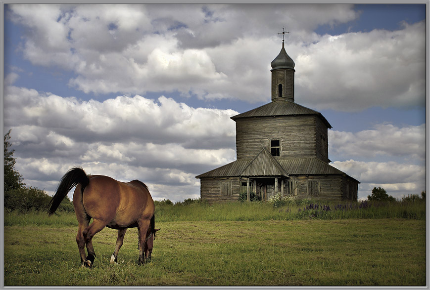 photo "Near the church on the meadow" tags: landscape, summer