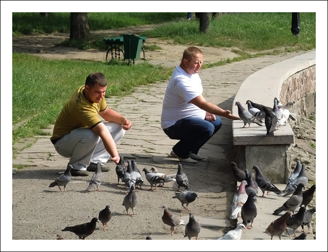 photo "The Feeding of Doves" tags: city, genre, 