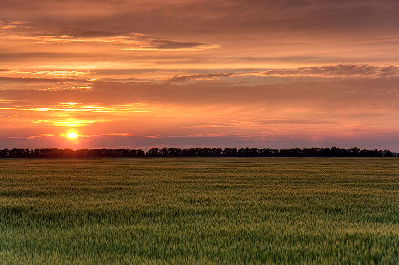 photo "Sunset" tags: landscape, summer, sunset