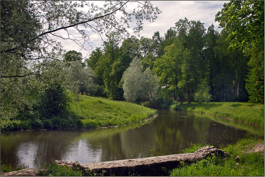 photo "Summer motive" tags: landscape, summer