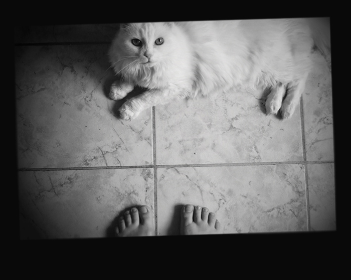 photo "M I C R O S O F T" tags: portrait, nature, pets/farm animals