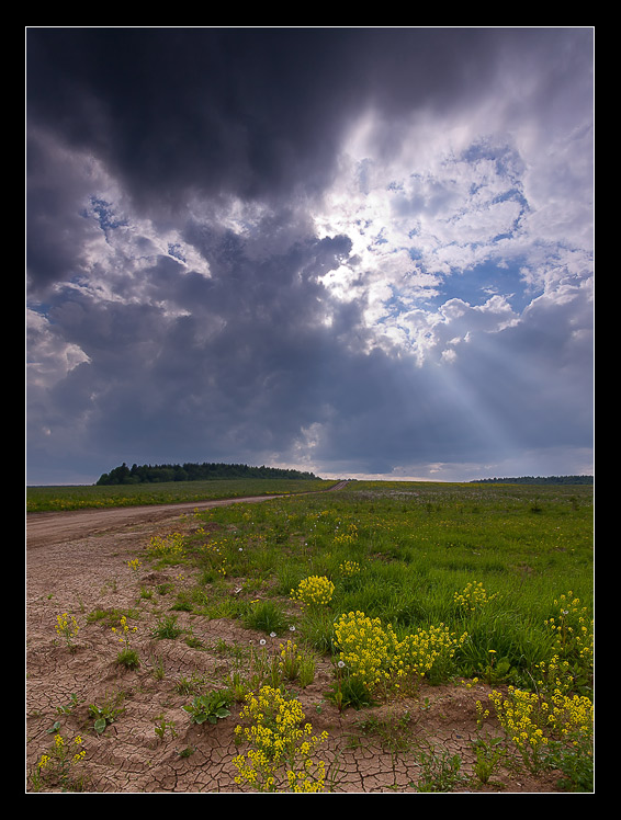 фото "***" метки: пейзаж, лето