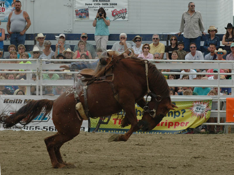 photo "Bronc Riding 1" tags: sport, reporting, 