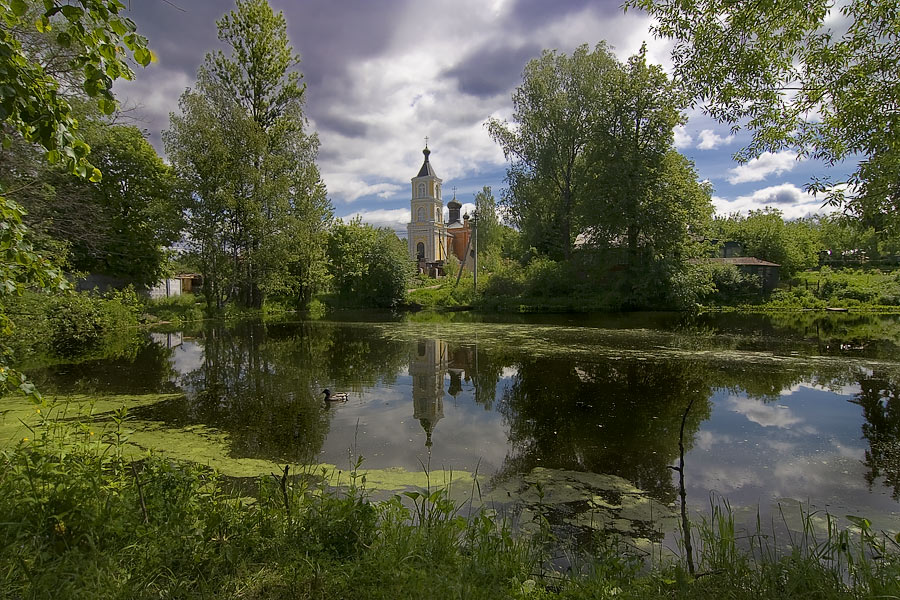 photo "***" tags: landscape, forest, summer