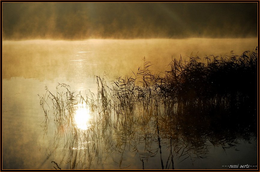 photo "sunny and misty morning" tags: landscape, sunset, water