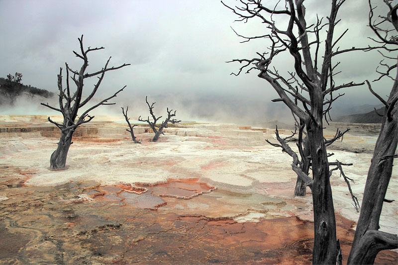 photo "Mammoth Springs" tags: landscape, 