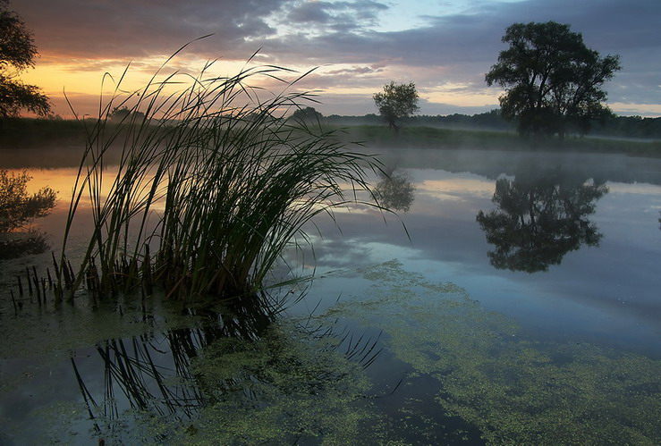 фото "****" метки: пейзаж, 