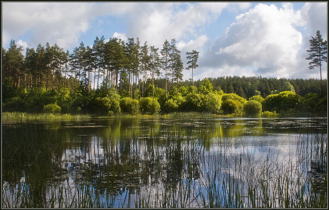 фото "Лесное озерко" метки: пейзаж, вода, лес