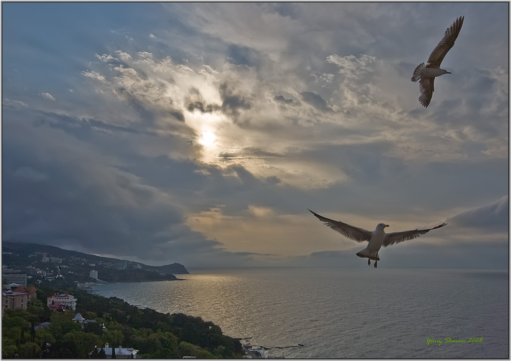 photo "alarming morning" tags: landscape, water