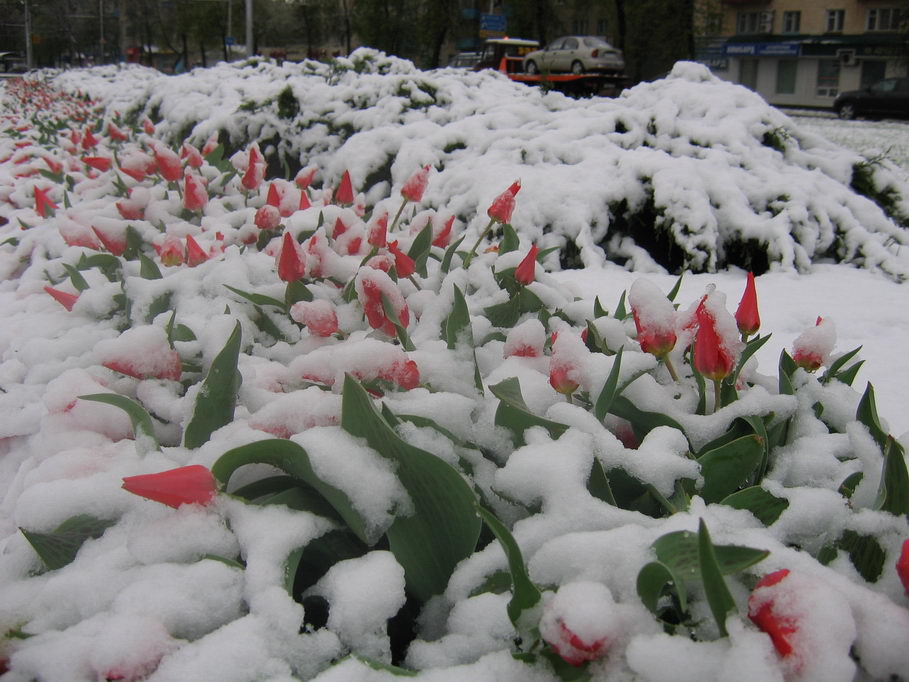 photo "***" tags: landscape, spring