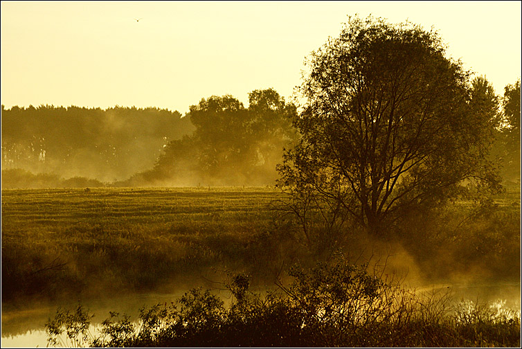 photo "Morning" tags: landscape, sunset