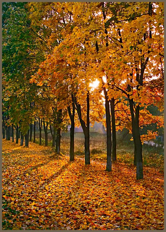 photo "***" tags: landscape, autumn