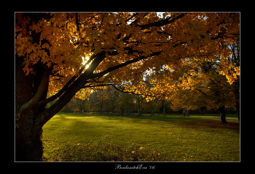 photo "...about light and shadows..." tags: landscape, travel, Europe, autumn