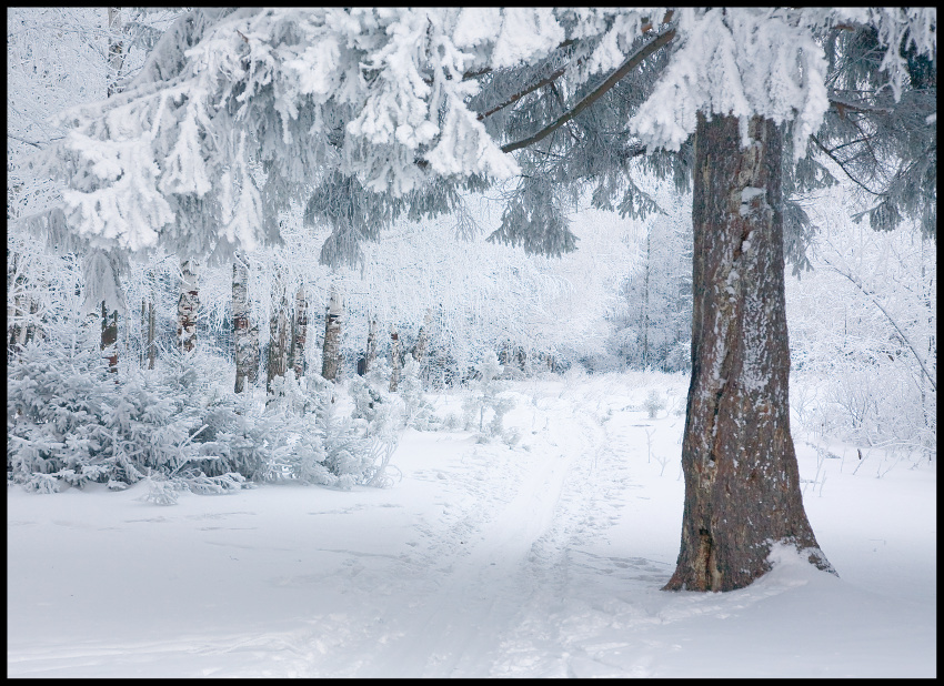 photo "***" tags: landscape, winter