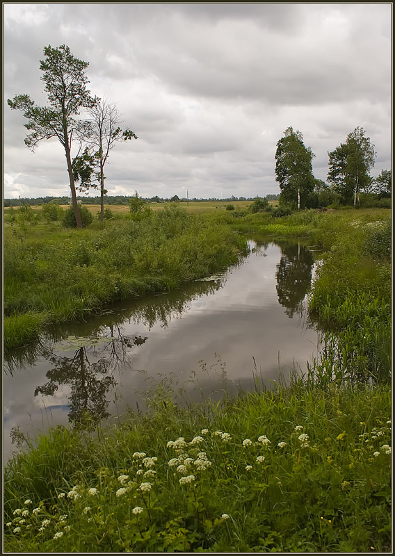 photo "Gloomy summer..." tags: landscape, summer
