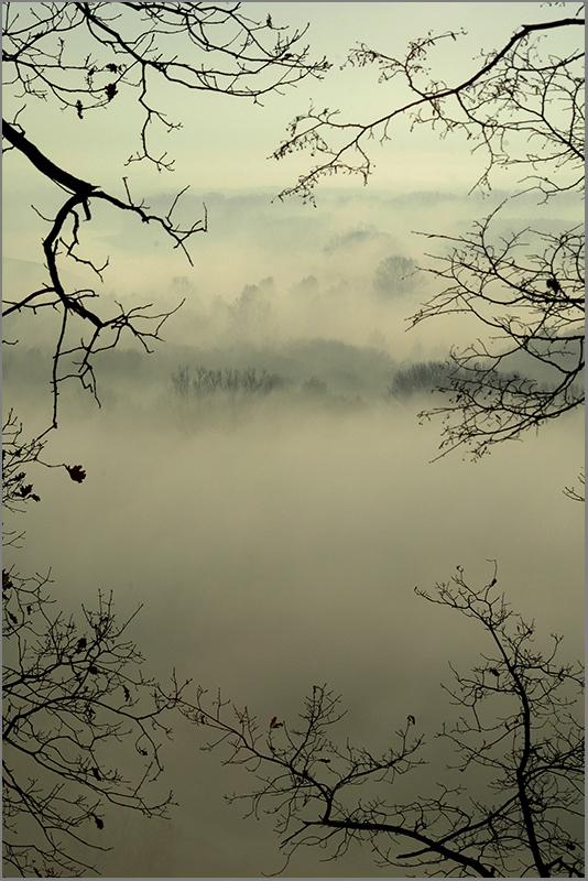 фото "Туманные дали..." метки: пейзаж, лес