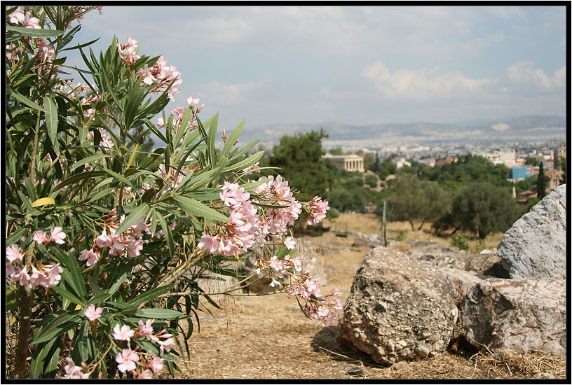 фото "Greece" метки: архитектура, природа, пейзаж, 