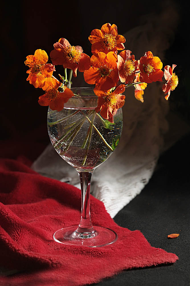 photo "***" tags: still life, 