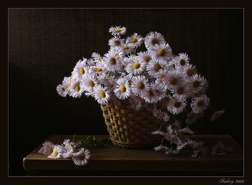 photo "Trash romashek" tags: still life, 