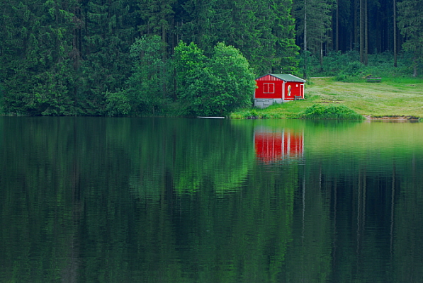 photo "my country" tags: landscape, forest, water