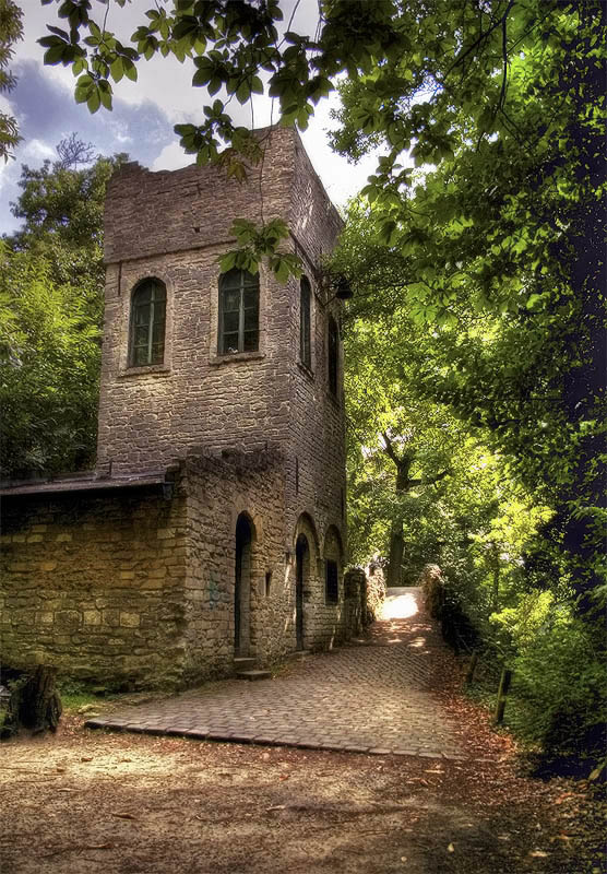 photo "Tower" tags: architecture, landscape, forest