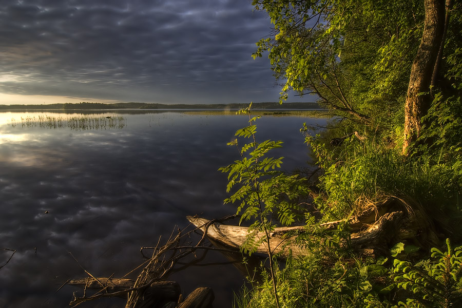 фото "." метки: пейзаж, закат, лето