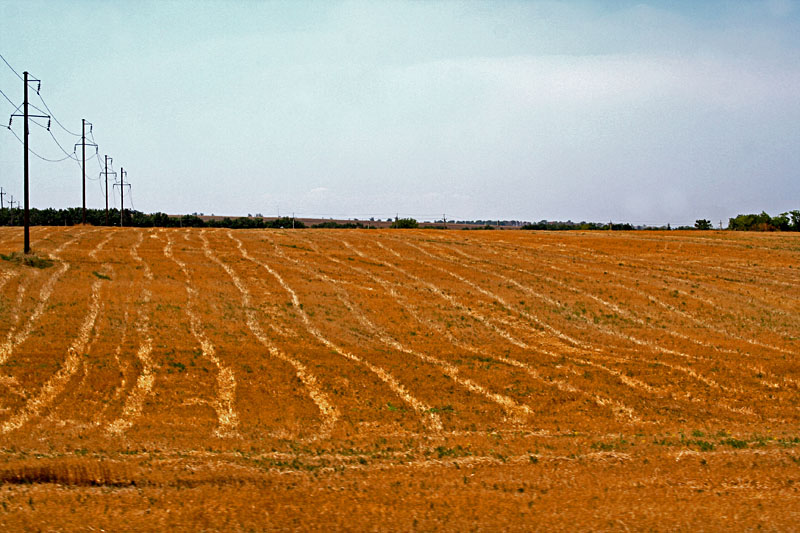 photo "Sowing of high-voltage" tags: landscape, 