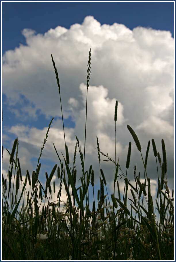 photo "***" tags: landscape, clouds, summer