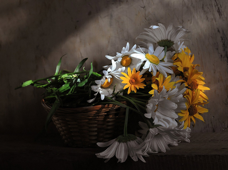 photo "***" tags: still life, 