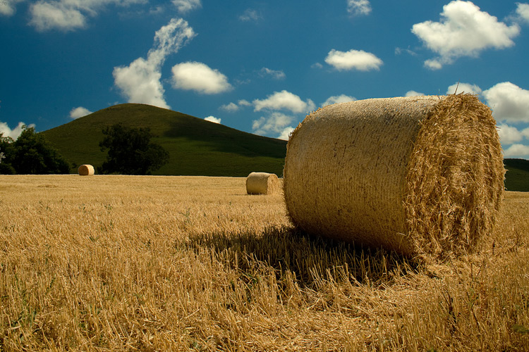 photo "***" tags: landscape, mountains