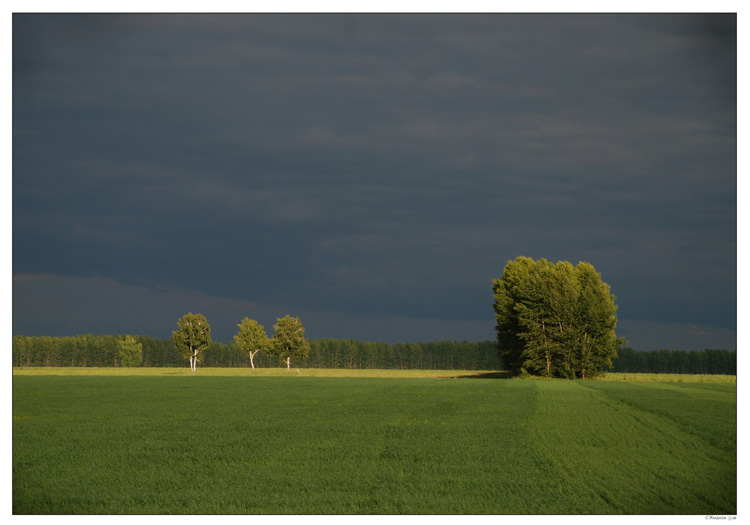 photo "***" tags: landscape, forest