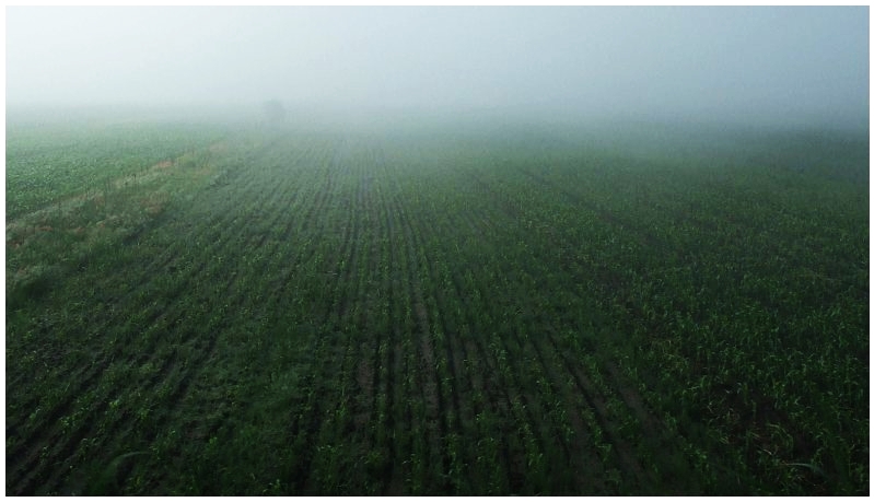 фото "morning1" метки: пейзаж, путешествия, Европа, лето