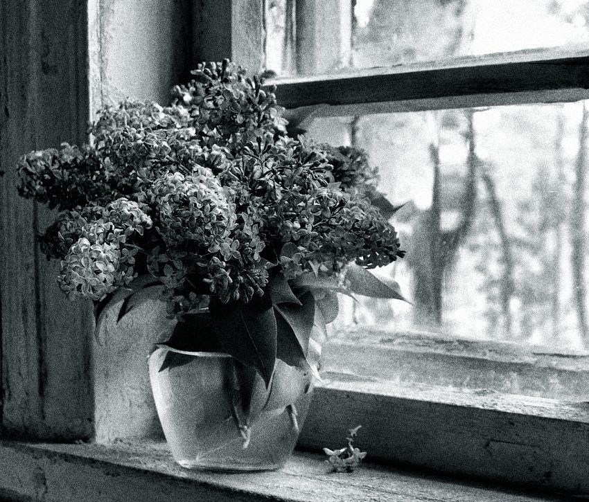 photo "***" tags: still life, 