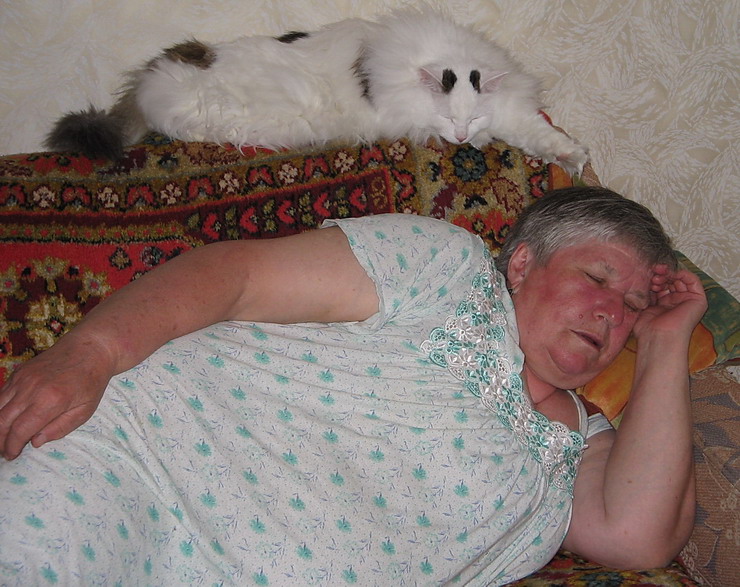 Трусы спящей бабушки. Спящие бабуся. Спящие бабки.