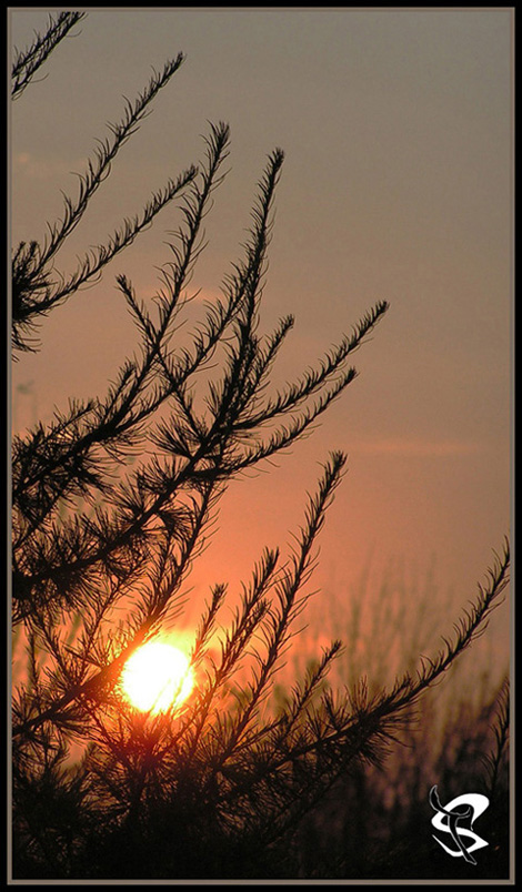 photo "***" tags: landscape, night, sunset