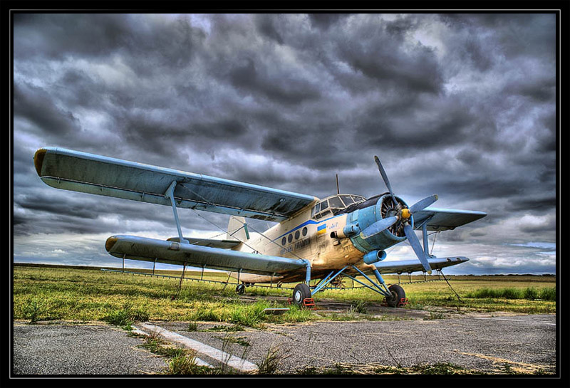 АН 2 кукурузник над полем