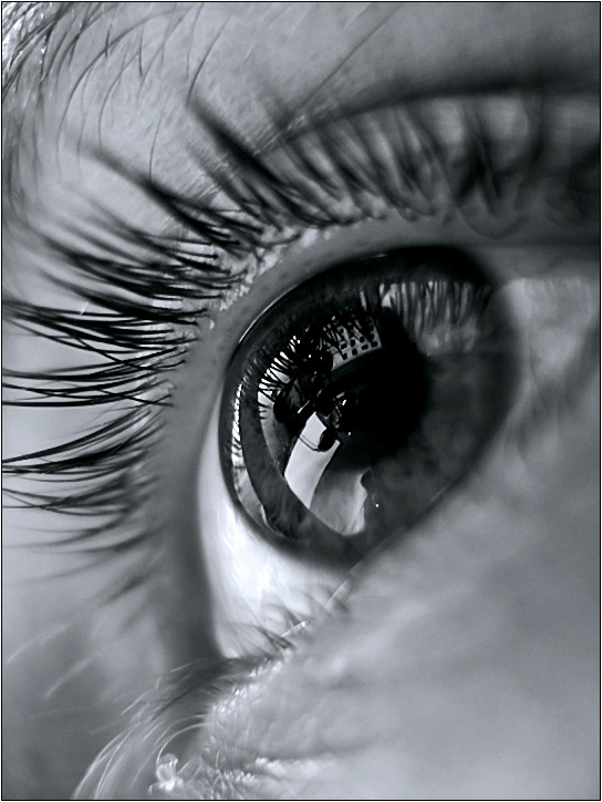 photo "***" tags: macro and close-up, black&white, 