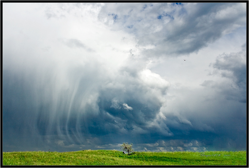 photo "***" tags: landscape, clouds, summer