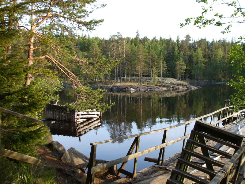 photo "***" tags: landscape, forest, water